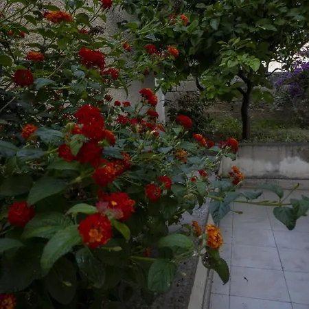 Apartament Casa Millo Monopoli